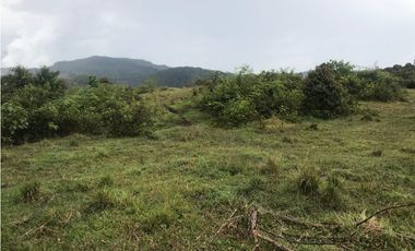 VENTA FINCA, TMESIS RO FRO - SUROESTE ANTIOQUEÑO