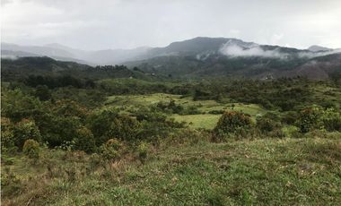 VENTA FINCA, TMESIS RO FRO - SUROESTE ANTIOQUEÑO