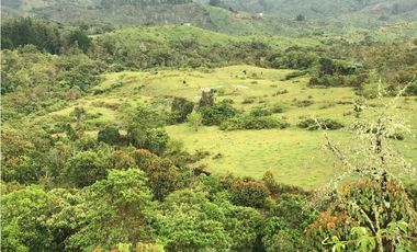 VENTA FINCA, TMESIS RO FRO - SUROESTE ANTIOQUEÑO