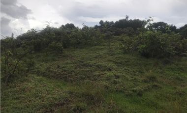 VENTA FINCA, TMESIS RO FRO - SUROESTE ANTIOQUEÑO