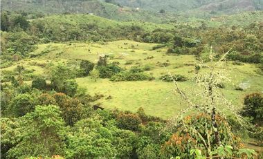 VENTA FINCA, TMESIS RO FRO - SUROESTE ANTIOQUEÑO
