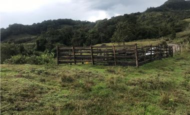 VENTA FINCA, TMESIS RO FRO - SUROESTE ANTIOQUEÑO