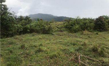 VENTA FINCA, TMESIS RO FRO - SUROESTE ANTIOQUEÑO