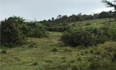 VENTA FINCA, TMESIS RO FRO - SUROESTE ANTIOQUEÑO