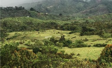 VENTA FINCA, TMESIS RO FRO - SUROESTE ANTIOQUEÑO