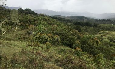 VENTA FINCA, TMESIS RO FRO - SUROESTE ANTIOQUEÑO