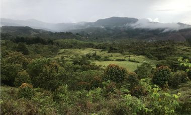 VENTA FINCA, TMESIS RO FRO - SUROESTE ANTIOQUEÑO