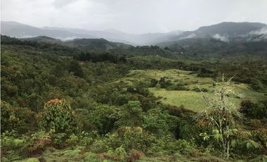 VENTA FINCA, TMESIS RO FRO - SUROESTE ANTIOQUEÑO
