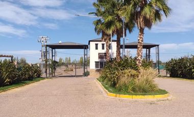 Lotes en Distrito Alto,Coquimbito, Maipú.