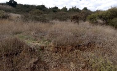 Parcela en Venta en Litueche