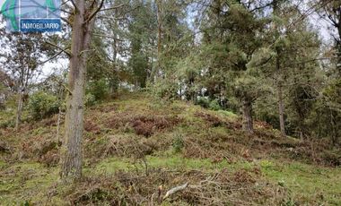 Terreno en Venta Ubicado en EL RETIRO Codigo 2765