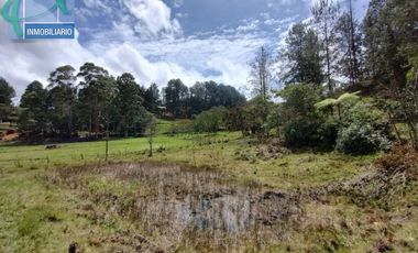 Terreno en Venta Ubicado en EL RETIRO Codigo 2765