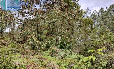 Terreno en Venta Ubicado en EL RETIRO Codigo 2765