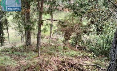 Terreno en Venta Ubicado en EL RETIRO Codigo 2765