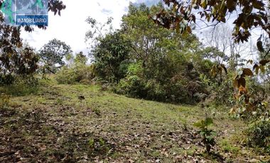 Terreno en Venta Ubicado en EL RETIRO Codigo 2765