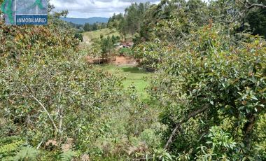 Terreno en Venta Ubicado en EL RETIRO Codigo 2765