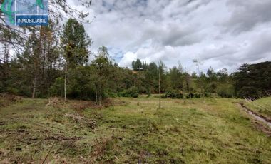 Terreno en Venta Ubicado en EL RETIRO Codigo 2765