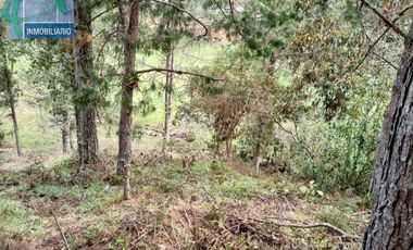 Terreno en Venta Ubicado en EL RETIRO Codigo 2765