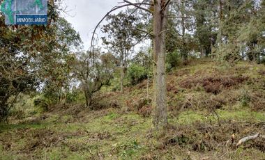 Terreno en Venta Ubicado en EL RETIRO Codigo 2765