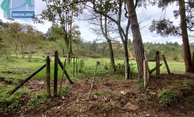 Terreno en Venta Ubicado en EL RETIRO Codigo 2765