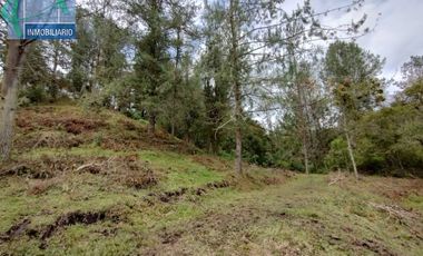 Terreno en Venta Ubicado en EL RETIRO Codigo 2765