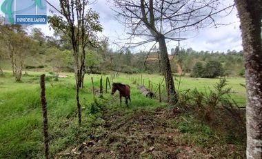 Terreno en Venta Ubicado en EL RETIRO Codigo 2765