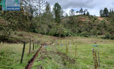 Terreno en Venta Ubicado en EL RETIRO Codigo 2765