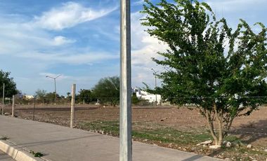 RENTA DE TERRENO FRENTE ALA BASE AEREA MILITAR EN COLONIA SINALOA