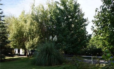 GRAN PARCELA 6000 m2 PUEBLO ZUÑIGA, SAN VICENTE