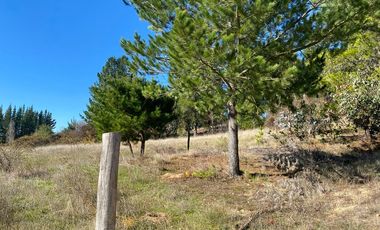 Parcela en venta Yumbel media hectárea