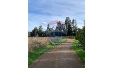 PARCELA DE AGRADO RUTA DEL VINO COLCHAGUA