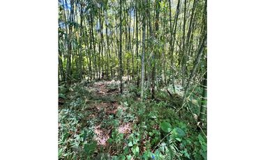 Vendo lotes en condominio Ubicado en Santa Bárbara Antioquia
