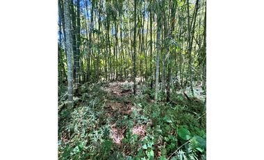 Vendo lotes en condominio Ubicado en Santa Bárbara Antioquia