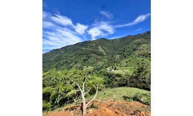 Vendo lotes en condominio Ubicado en Santa Bárbara Antioquia