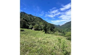 Vendo lotes en condominio Ubicado en Santa Bárbara Antioquia