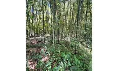 Vendo lotes en condominio Ubicado en Santa Bárbara Antioquia
