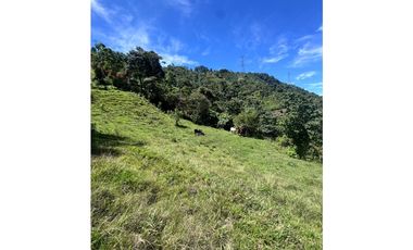 Vendo lotes en condominio Ubicado en Santa Bárbara Antioquia