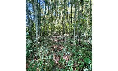 Vendo lotes en condominio Ubicado en Santa Bárbara Antioquia