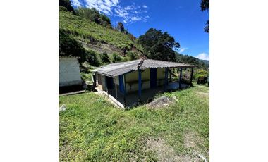 Vendo Casa campesina en Santa Bárbara Antioquia