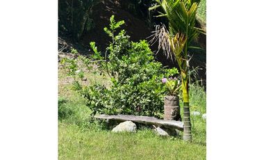 Vendo Casa campesina en Santa Bárbara Antioquia