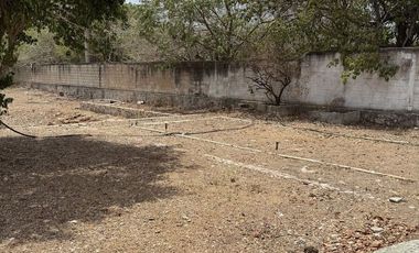 Espacio Comercial Todo en uno: Casa con terreno y 2 locales ¡Lista para Rentar!