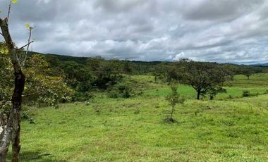 VENDO 30 HECTAREAS-  TITULADO -EN BOQUETE