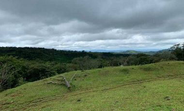 VENDO 30 HECTAREAS-  TITULADO -EN BOQUETE