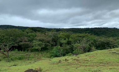 VENDO 30 HECTAREAS-  TITULADO -EN BOQUETE