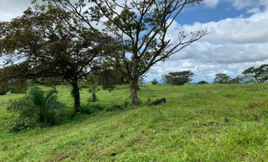 VENDO 30 HECTAREAS-  TITULADO -EN BOQUETE
