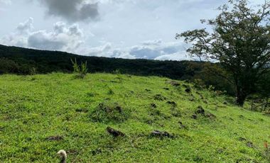 VENDO 30 HECTAREAS-  TITULADO -EN BOQUETE