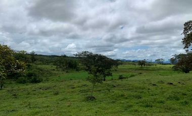 VENDO 30 HECTAREAS-  TITULADO -EN BOQUETE