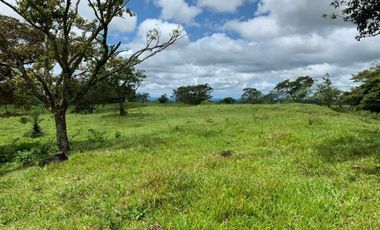 VENDO 30 HECTAREAS-  TITULADO -EN BOQUETE