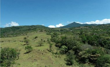 VENDO 30 HECTAREAS-  TITULADO -EN BOQUETE