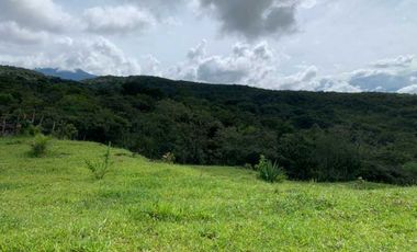 VENDO 30 HECTAREAS-  TITULADO -EN BOQUETE